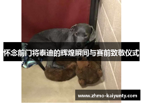 怀念前门将泰迪的辉煌瞬间与赛前致敬仪式 怀念前门将泰迪的辉煌瞬间与赛前致敬仪式