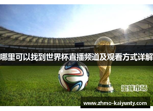 哪里可以找到世界杯直播频道及观看方式详解 哪里可以找到世界杯直播频道及观看方式详解