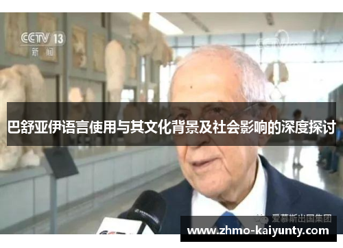 巴舒亚伊语言使用与其文化背景及社会影响的深度探讨